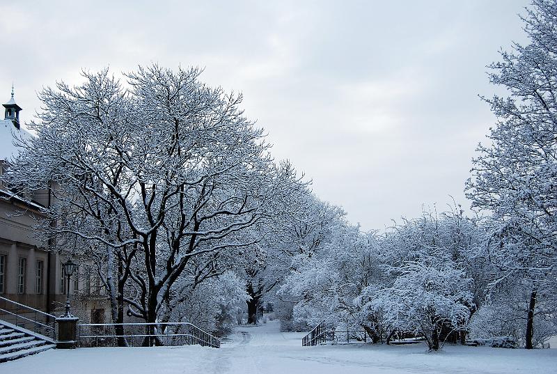 2011-01-24, Schnee (6).JPG